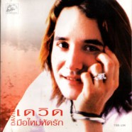 เดวิด - มือใหม่หัดรัก-web